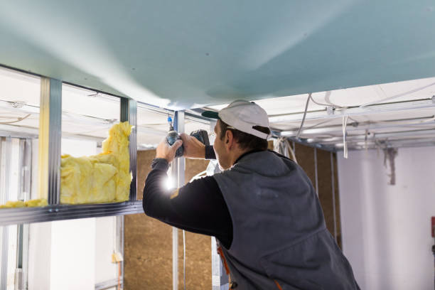 Best Insulation Installation Services in Lewiston, CA